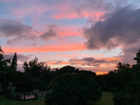 North Shore Garden Suite Haleiwa Kültér fotó